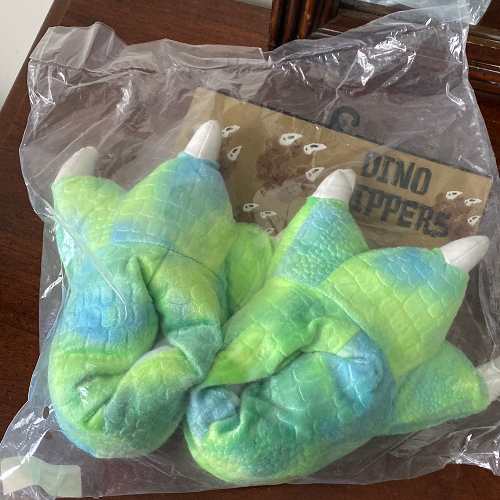 Dino slippers kids size small.